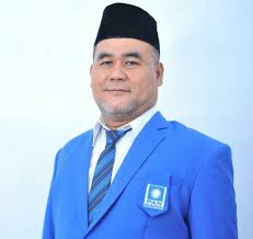 Profil Edison Sitorus