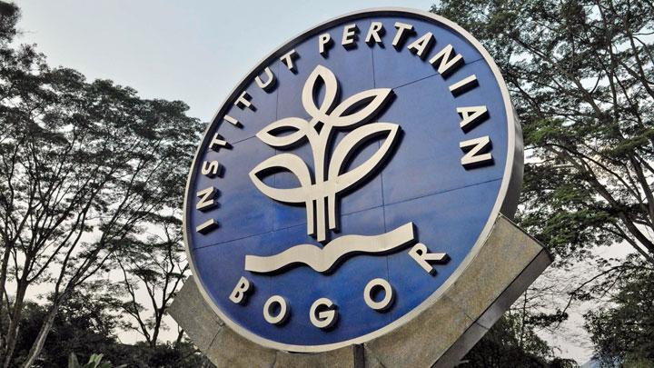 Tips Lolos Ujian IPB: Tips Menyusun Portofolio Akademik yang Kuat