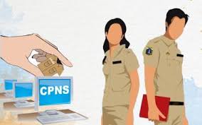 Kesalahan Umum Peserta CPNS CASN dan Cara Menghindarinya agar Lolos Seleksi ASN