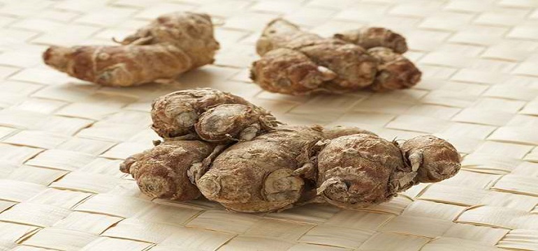 Kencur Bahan Alami dengan Segudang Manfaat untuk Kecantikan