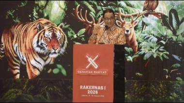 Deforestasi Legal Tinggi di Sumatra: Hutan yang Menjerit dan Masa Depan yang Terancam