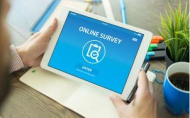 jasa survei online murah