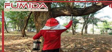 Rayap Ancaman Serius bagi Bangunan dan Pentingnya Penanganan yang Tepat