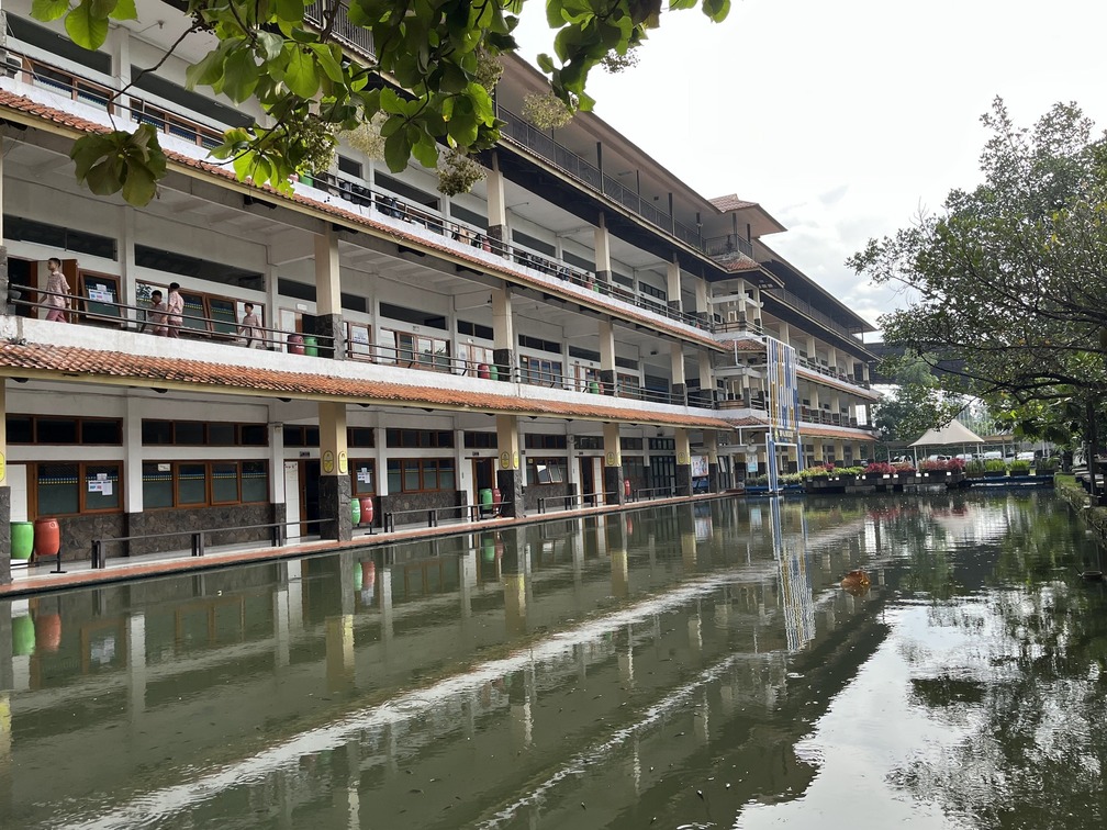 Sekolah yang Menyadari: Setiap Anak Lahir dengan Kecepatannya Sendiri