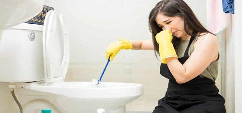Cara Mengatasi WC Mampet Secara Mandiri